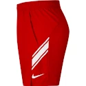 Pánské šortky Nike Dry Short Gym Red