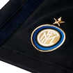 Pánské šortky Nike FC Inter Milán 776878-010