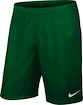 Pánské šortky Nike Football Short Green