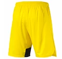 Pánské šortky Puma Borussia Dortmund 74982701