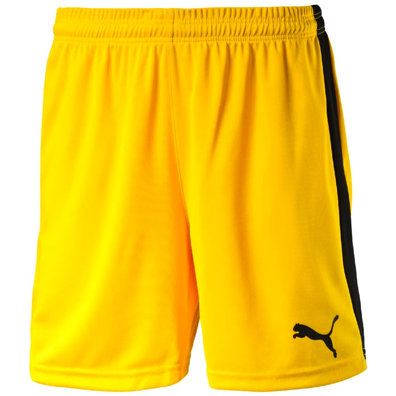 Pánské šortky Puma  Pitch