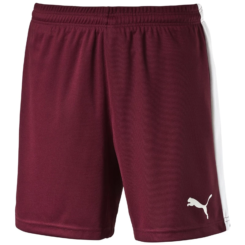 Pánské šortky Puma  Pitch