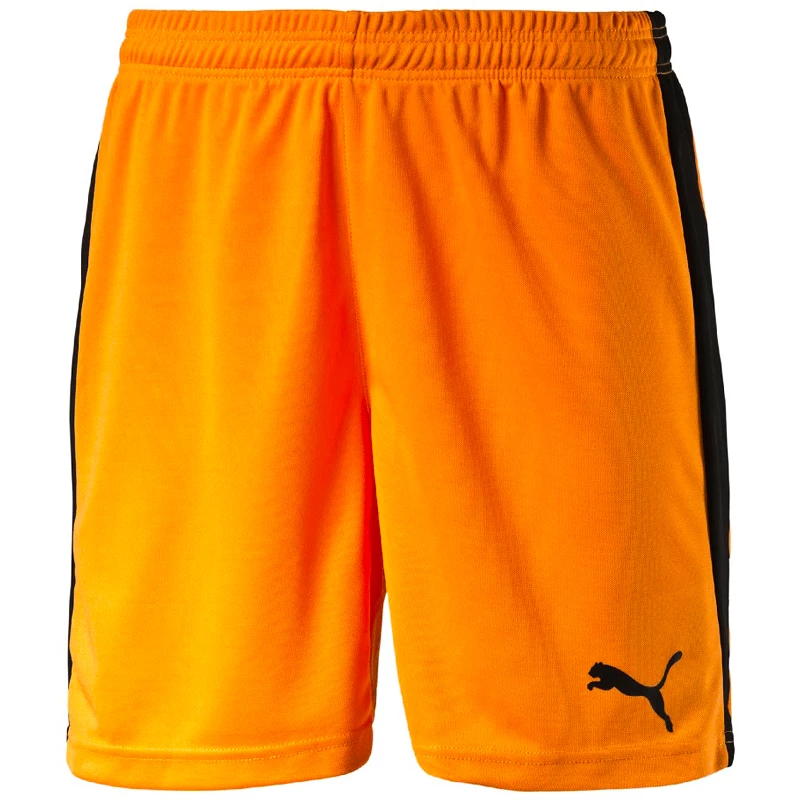 Pánské šortky Puma  Pitch