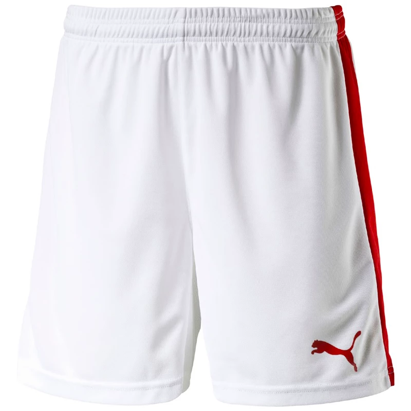 Pánské šortky Puma  Pitch
