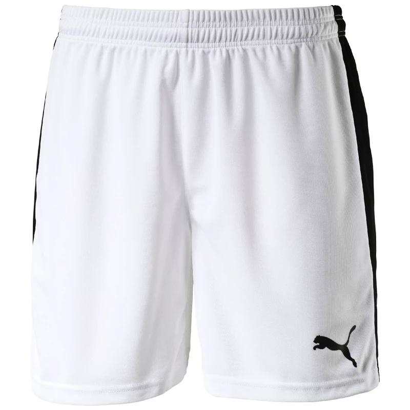 Pánské šortky Puma  Pitch