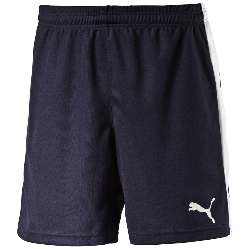 Pánské šortky Puma  Pitch  bílo-zelená, L