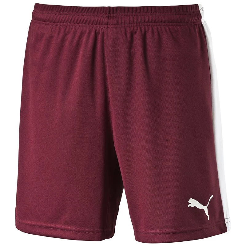 Pánské šortky Puma  Pitch  bílo-zelená, L