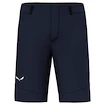 Pánské šortky Salewa  Agner DST M Shorts  L