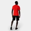 Pánské šortky Salewa  Pedroc 3 DST M Cargo Shorts