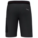 Pánské šortky Salewa  Pedroc 3 DST M Cargo Shorts