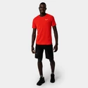 Pánské šortky Salewa  Pedroc 3 DST M Cargo Shorts