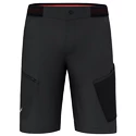 Pánské šortky Salewa  Pedroc 3 DST M Cargo Shorts