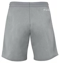 Pánské šortky Tecnifibre  Club Short Silver