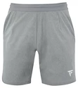 Pánské šortky Tecnifibre  Club Short Silver