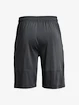 Pánské šortky Under Armour  Raid 2.0 Shorts-GRY