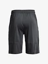 Pánské šortky Under Armour  Raid 2.0 Shorts-GRY