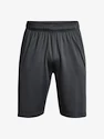 Pánské šortky Under Armour  Raid 2.0 Shorts-GRY