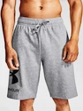 Pánské šortky Under Armour  Rival FLC Big Logo Shorts gray M