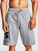 Pánské šortky Under Armour  Rival FLC Big Logo Shorts gray S