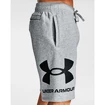 Pánské Šortky Under Armour Rival FLC Big Logo Shorts šedé