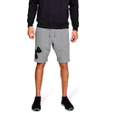 Pánské šortky Under Armour Rival Fleece Logo Sweatshort šedé