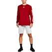 Pánské Šortky Under Armour SPECKLED FLEECE SHORTS bílé