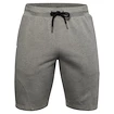 Pánské Šortky Under Armour SPECKLED FLEECE SHORTS zelené