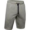 Pánské Šortky Under Armour SPECKLED FLEECE SHORTS zelené