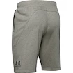 Pánské Šortky Under Armour SPECKLED FLEECE SHORTS zelené