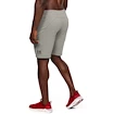 Pánské Šortky Under Armour SPECKLED FLEECE SHORTS zelené