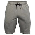Pánské Šortky Under Armour SPECKLED FLEECE SHORTS zelené