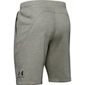Pánské Šortky Under Armour SPECKLED FLEECE SHORTS zelené