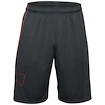 Pánské Šortky Under Armour Tech Logo Shorts šedé