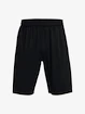 Pánské šortky Under Armour  Tech WM Graphic Short-BLK