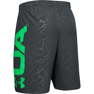 Pánské šortky Under Armour  Vanish Woven Emboss