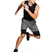 Pánské Šortky Under Armour Vanish Woven Graphic Sts zelené
