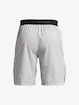 Pánské šortky Under Armour  Vanish Woven Snap Sts-GRY