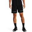 Pánské šortky Under Armour  Woven Graphic WM Short