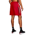 Pánské Šortky Under Armour Woven Wordmark Shorts 