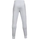 Pánské Tepláky Under Armour DOUBLE KNIT JOGGERS šedé Dynamic