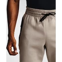 Pánské Tepláky Under Armour Recover Fleece Pant hnědé