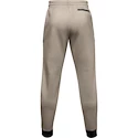 Pánské Tepláky Under Armour Recover Fleece Pant hnědé