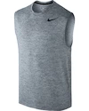 Pánské tílko Nike Dry Training Grey