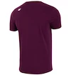 Pánské tričko 4F TSM012 Dark Violet