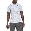 Pánské tričko adidas  Club Graphic Polo White