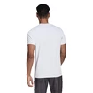 Pánské tričko adidas  Club Graphic Tee White