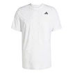 Pánské tričko adidas  Club Tennis Climacool Graphic T-Shirt White