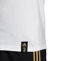 Pánské tričko adidas DNA Graphic Juventus FC