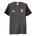 Pánské tričko adidas FC Bayern Mnichov AO0310