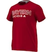 Pánské tričko adidas FC Bayern Mnichov AP1660